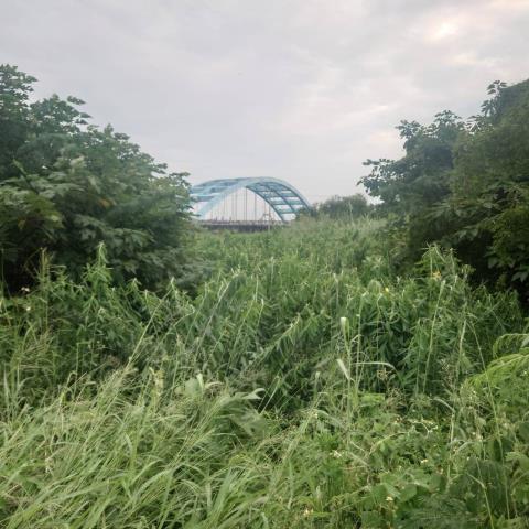 台南學甲農地-1