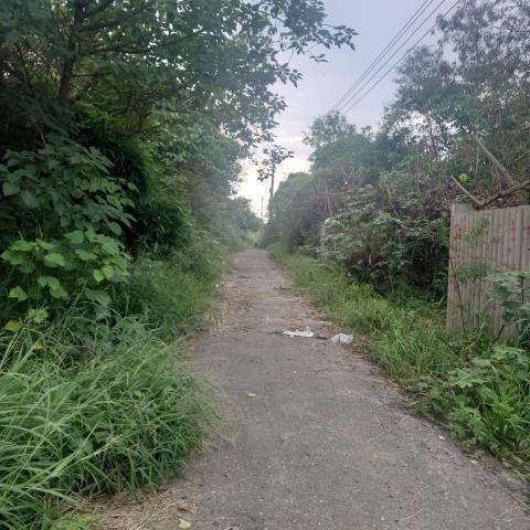 台南學甲農地-2