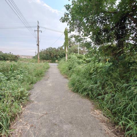 台南學甲農地-9