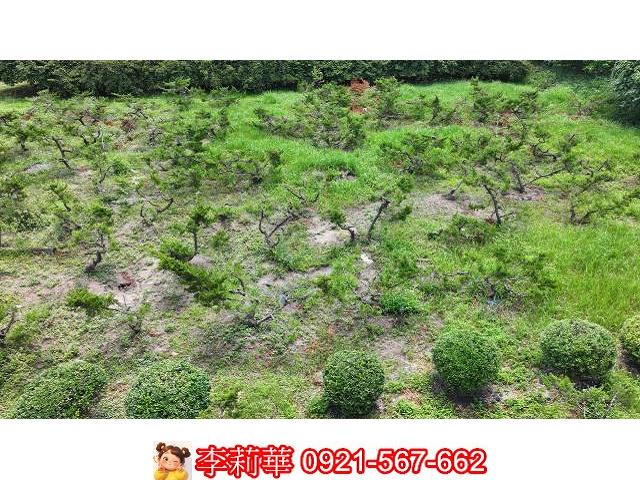 台南大內農地-12