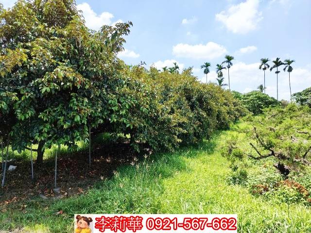 台南大內農地-8