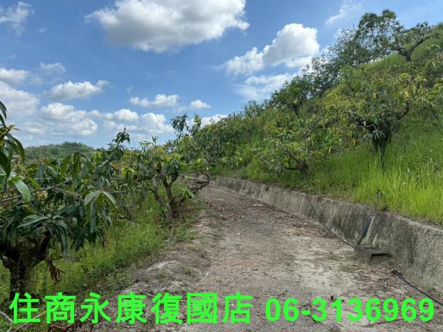 台南玉井農地-10