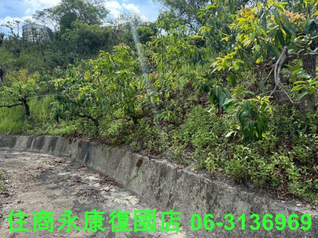 台南玉井農地-11