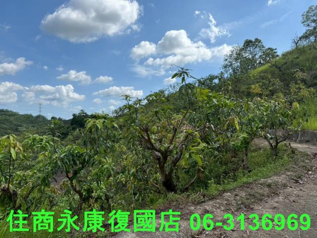 台南玉井農地-12