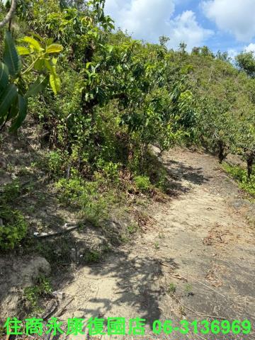 台南玉井農地-13