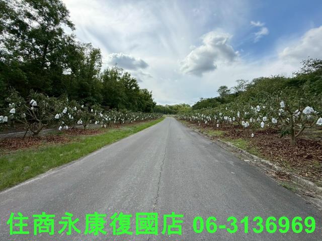 台南玉井農地-1