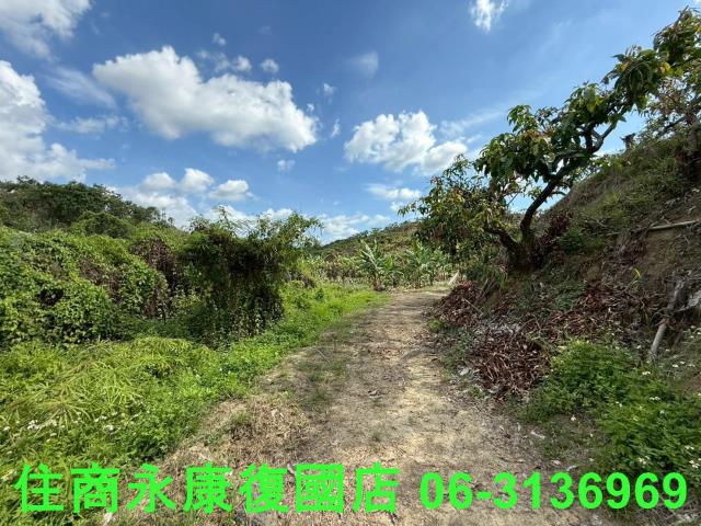 台南玉井農地-2