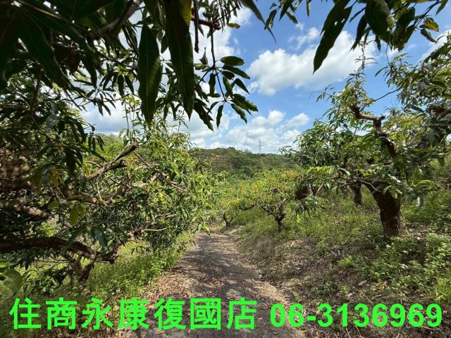 台南玉井農地-3