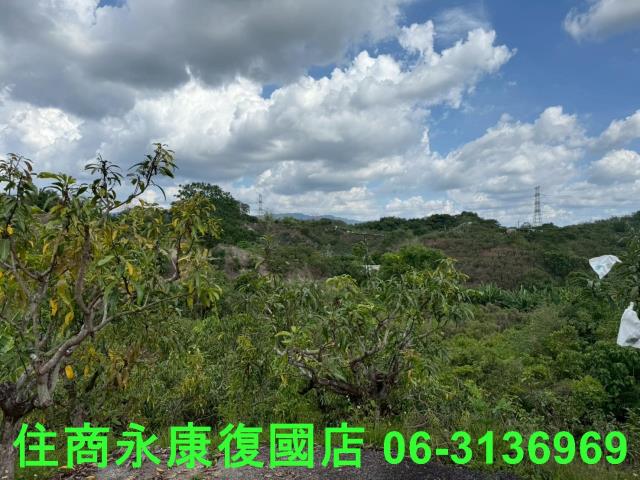 台南玉井農地-6