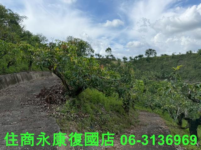 台南玉井農地-7