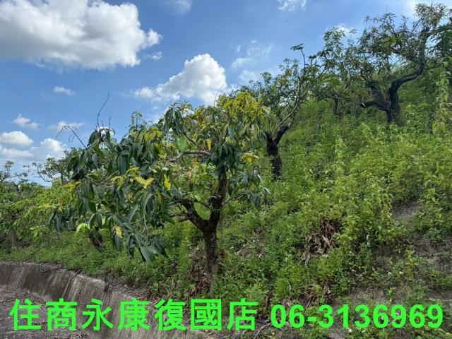 台南玉井農地-8