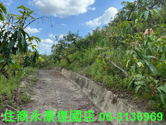 台南玉井農地-9