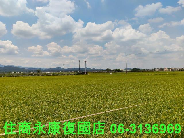 台南東山農地-2