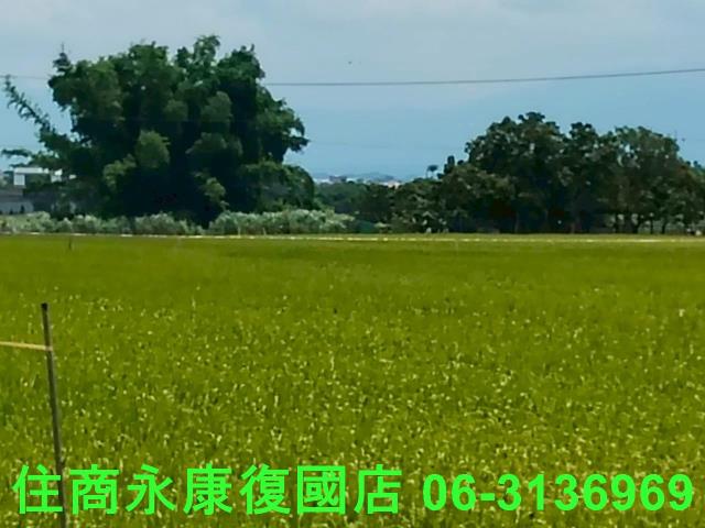 台南東山農地-3