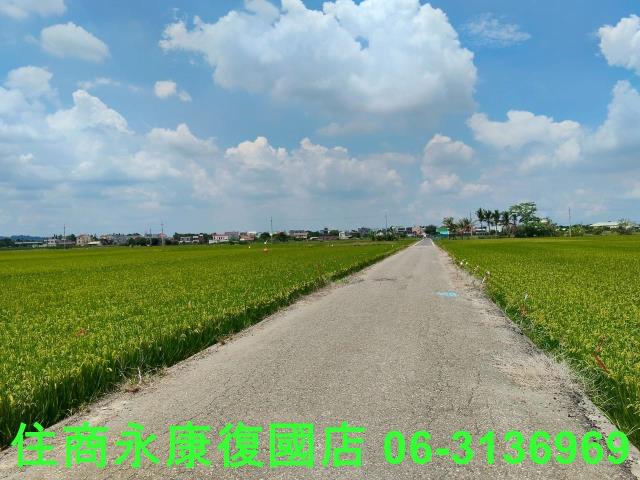 台南東山農地-4