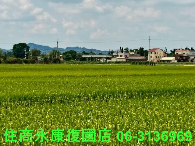 台南東山農地-7