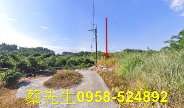 左鎮法拍農地-1