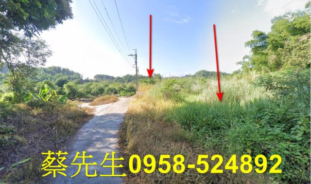 左鎮法拍農地-5