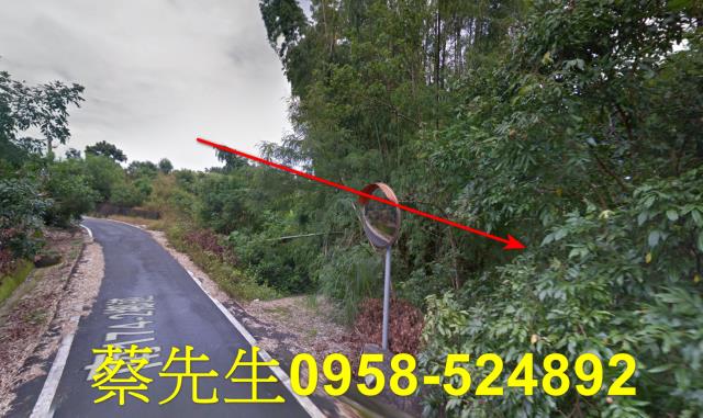 南化拍賣農地-6