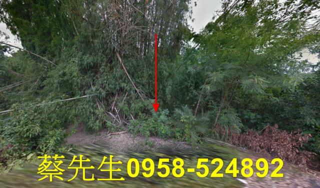 南化拍賣農地-9