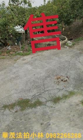 台南玉井農地-10