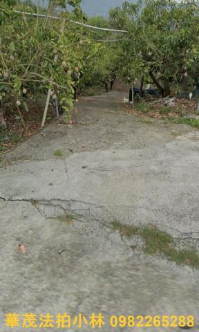 台南玉井農地-14