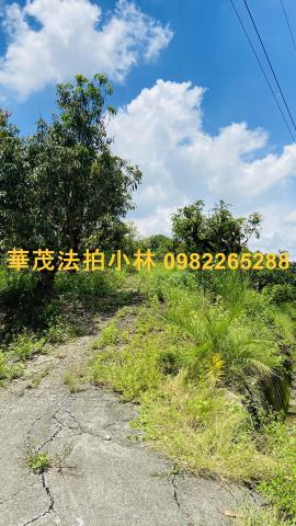 台南玉井農地-8