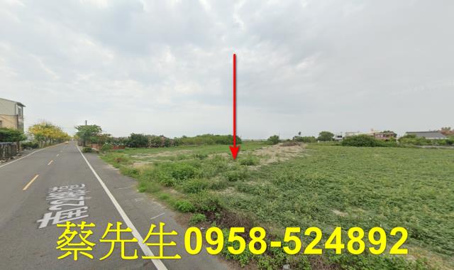 將軍法拍農地-12