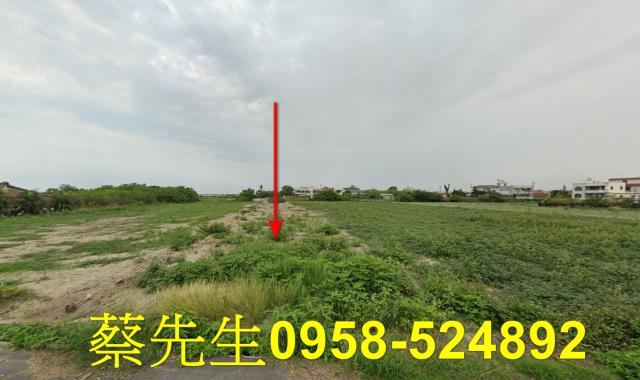 將軍法拍農地-1