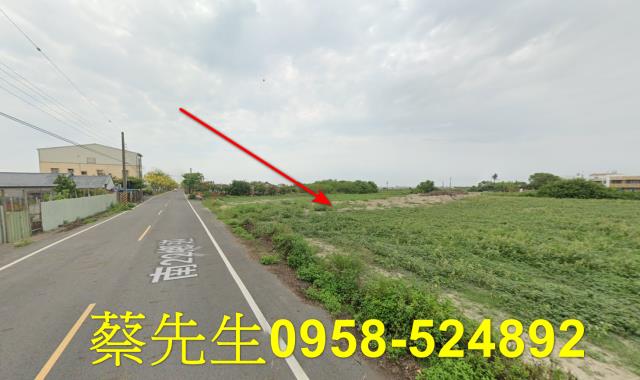 將軍法拍農地-5
