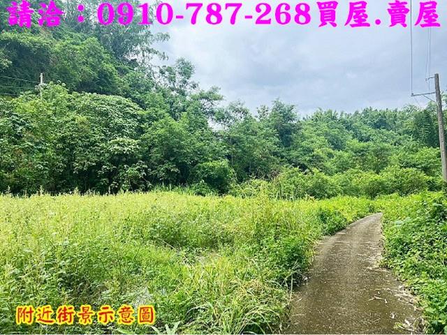 台南大內農地-13