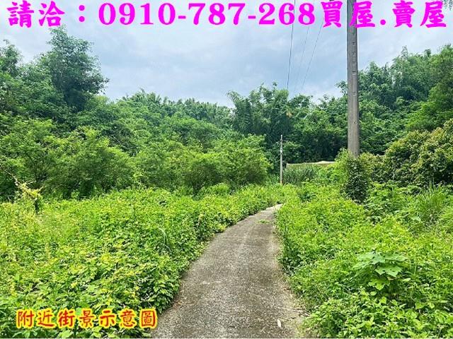 台南大內農地-14