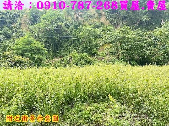 台南大內農地-15