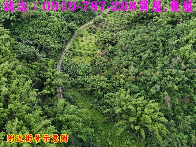 台南大內農地-8