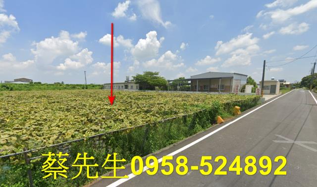 柳營法拍農地-12