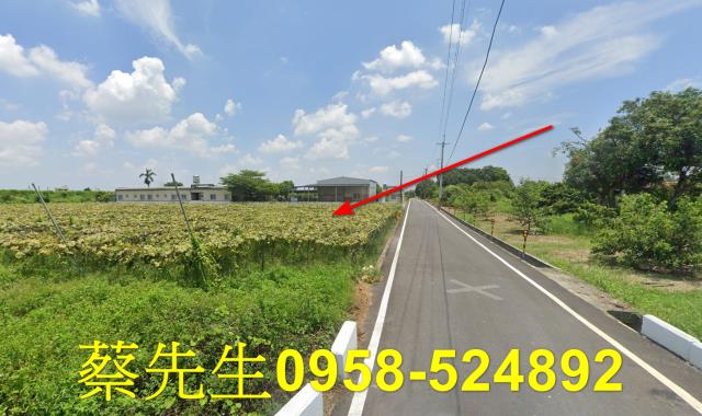 柳營法拍農地-13