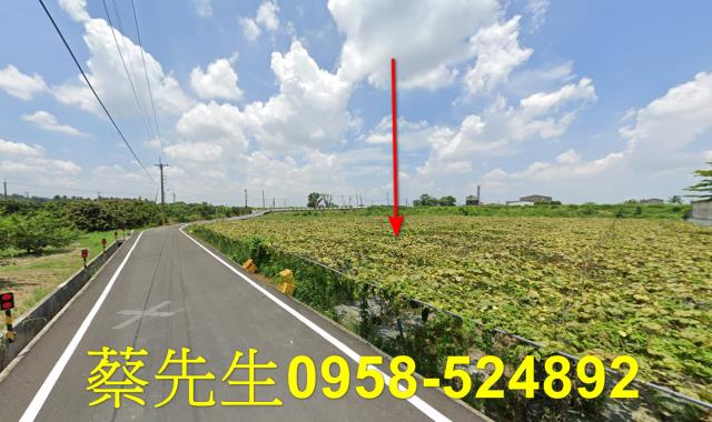 柳營法拍農地-6