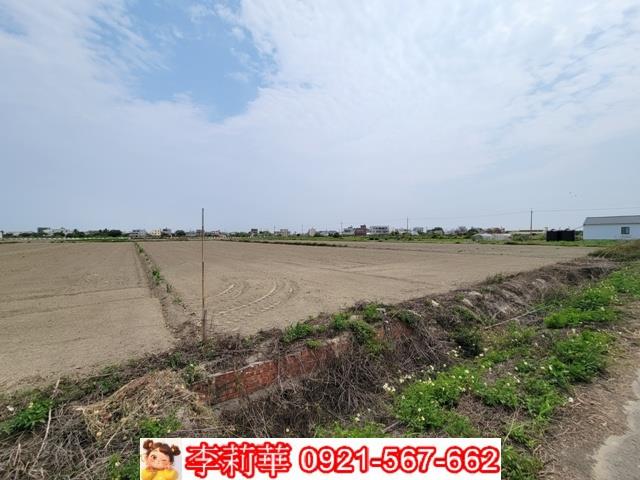 台南七股農地-4