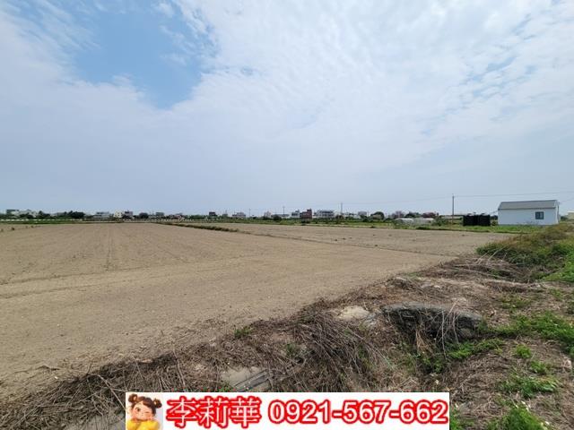 台南七股農地-5