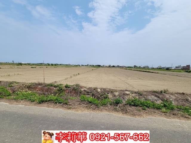 台南七股農地-6