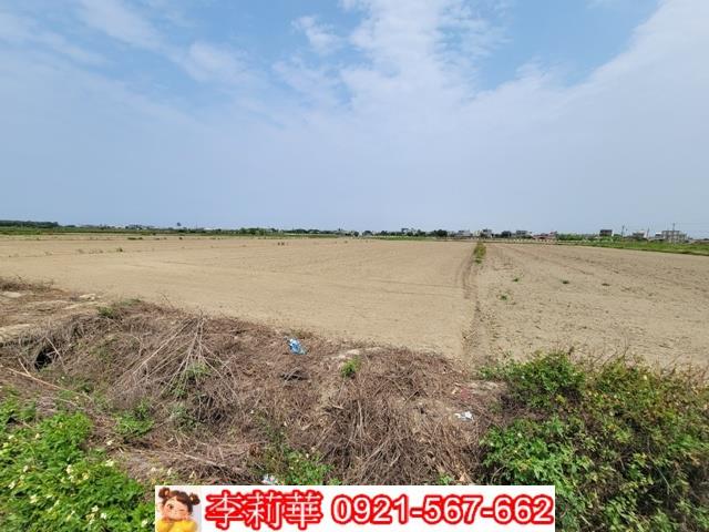 台南七股農地-8