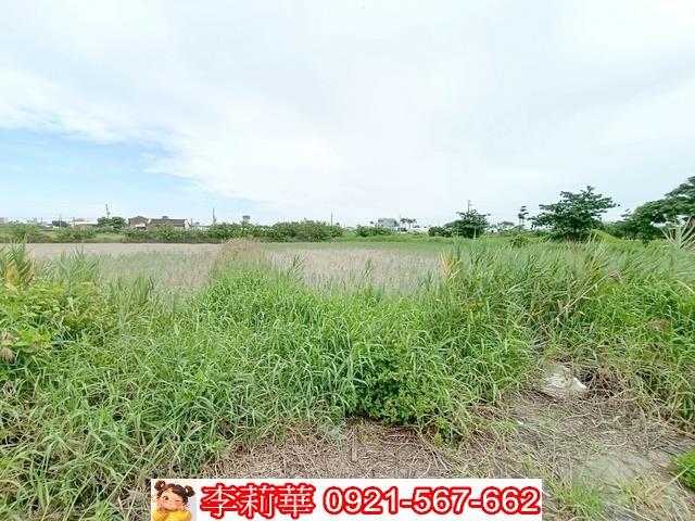 台南農地-9