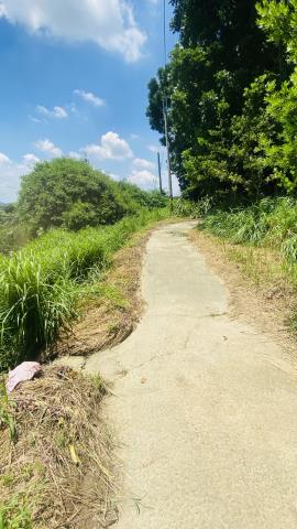 台南玉井農地-10