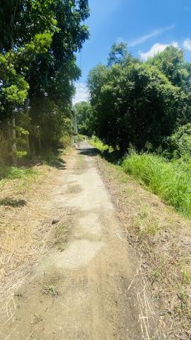 台南玉井農地-11