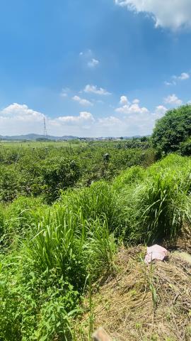 台南玉井農地-12