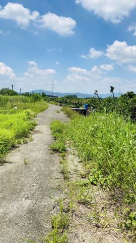 台南玉井農地-14