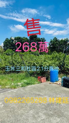 台南玉井農地-1