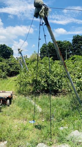 台南玉井農地-2