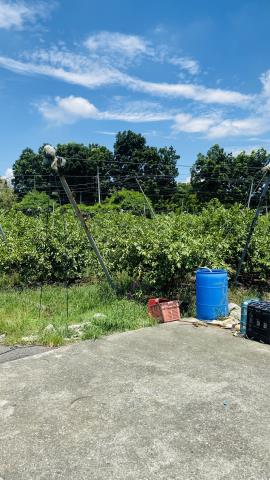 台南玉井農地-3