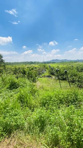 台南玉井農地-6